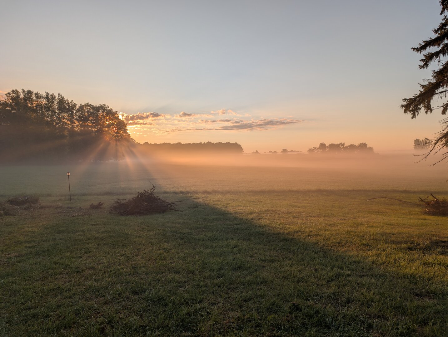 sunrise on a cool foggy morning,with the sun peeking through the trees, looking out over a large field with trees in the distance