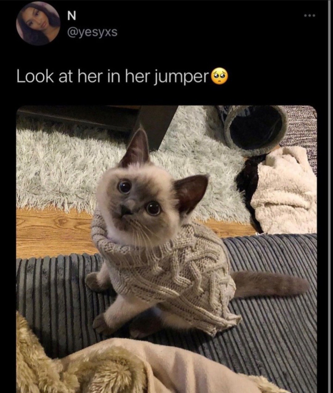 Dawwww
